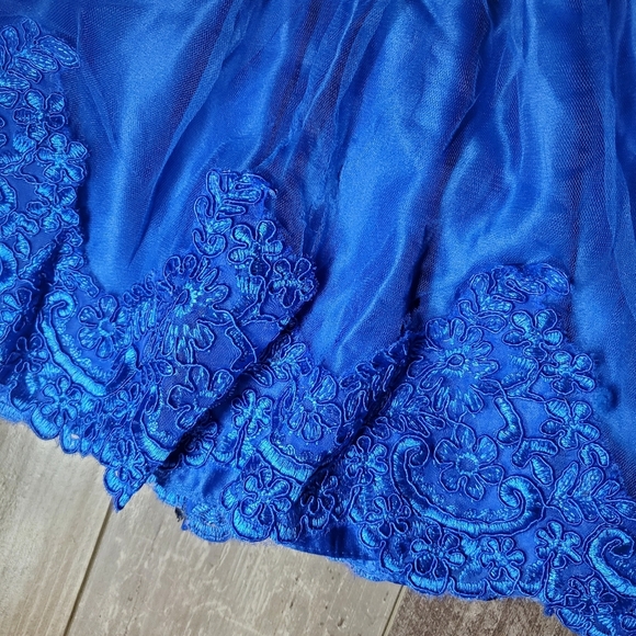 Beautiful Baby Girl Sapphire Blue V-Neck Lace Tulle Party Dress Size 12m - Picture 6 of 12